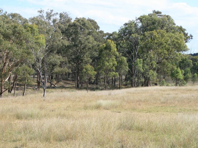 Lot 230 Mt Janet Road Dalveen via, Warwick QLD 4370
