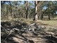 Lot 230 Mt Janet Road Dalveen via, Warwick QLD 4370
