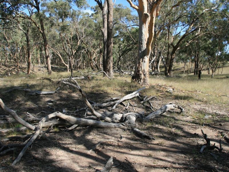 Lot 230 Mt Janet Road Dalveen via, Warwick QLD 4370
