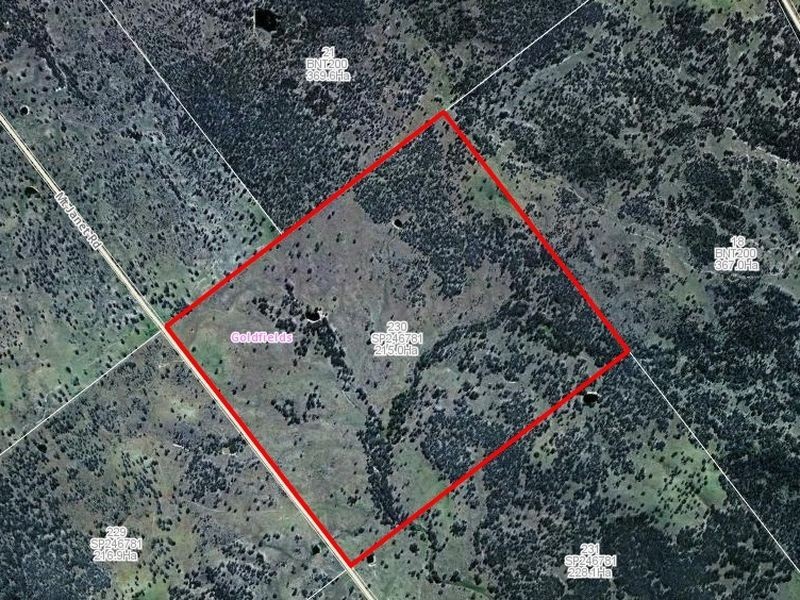 Lot 230 Mt Janet Road Dalveen via, Warwick QLD 4370