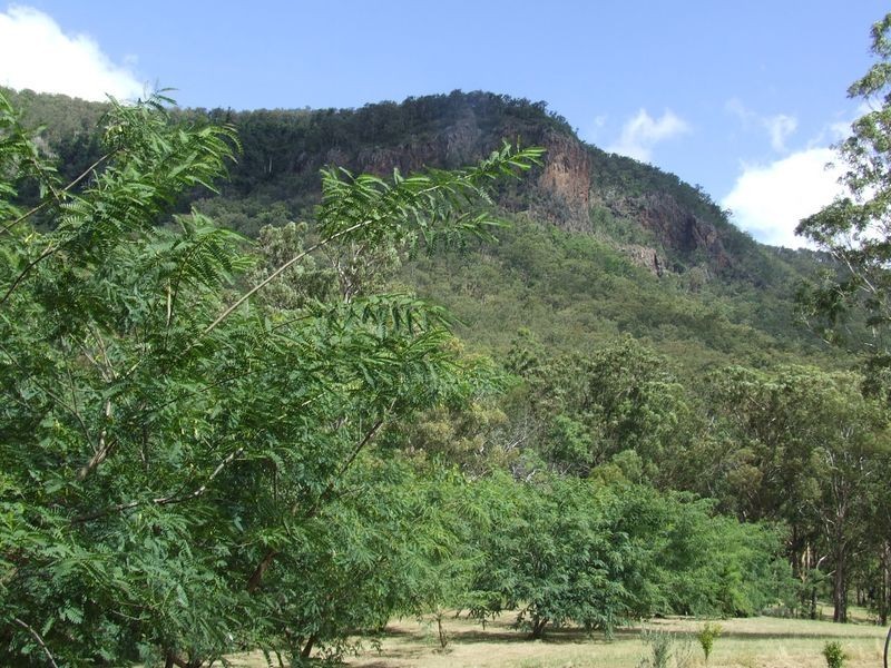 479 Bakers Road Mt Colliery via, Killarney QLD 4373