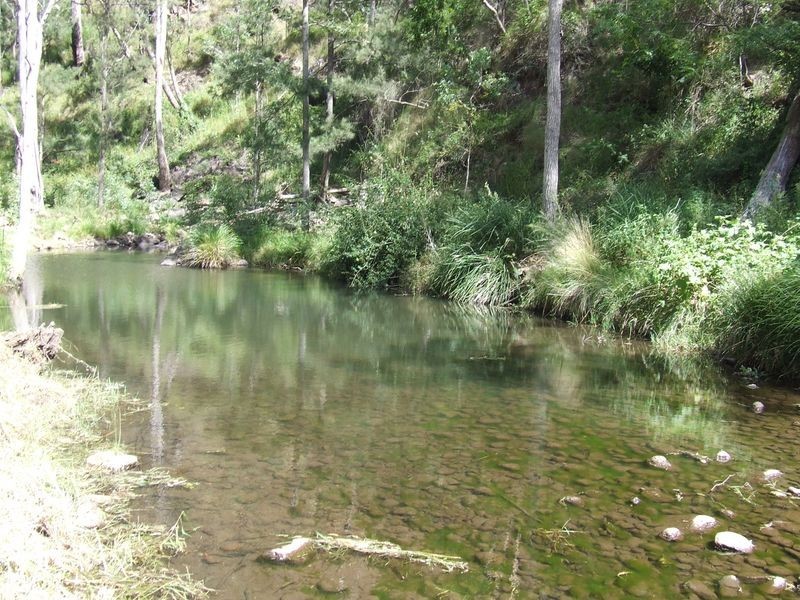 479 Bakers Road Mt Colliery via, Killarney QLD 4373