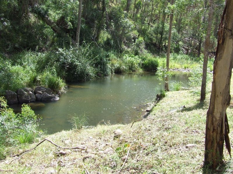 479 Bakers Road Mt Colliery via, Killarney QLD 4373