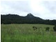 Proposed l Spring Creek Road The Head via, Killarney QLD 4373