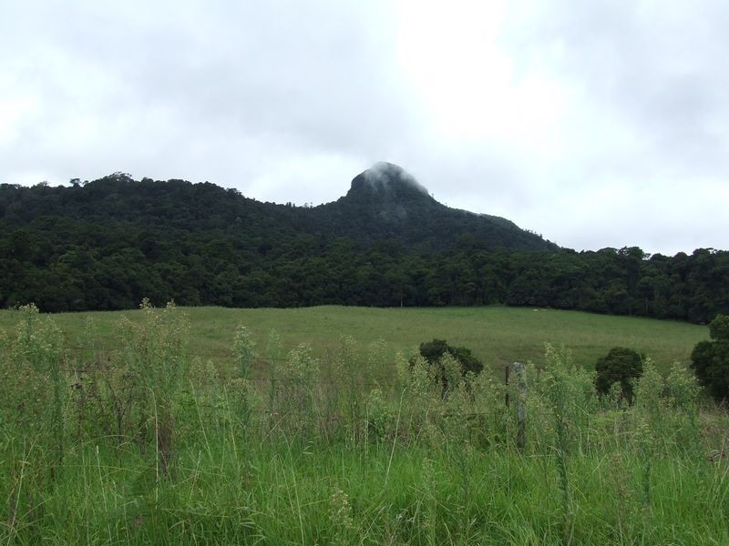 Proposed l Spring Creek Road The Head via, Killarney QLD 4373