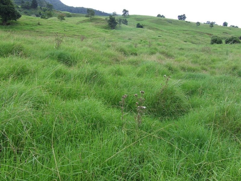 Proposed l Spring Creek Road The Head via, Killarney QLD 4373