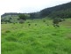 Proposed l Spring Creek Road The Head via, Killarney QLD 4373