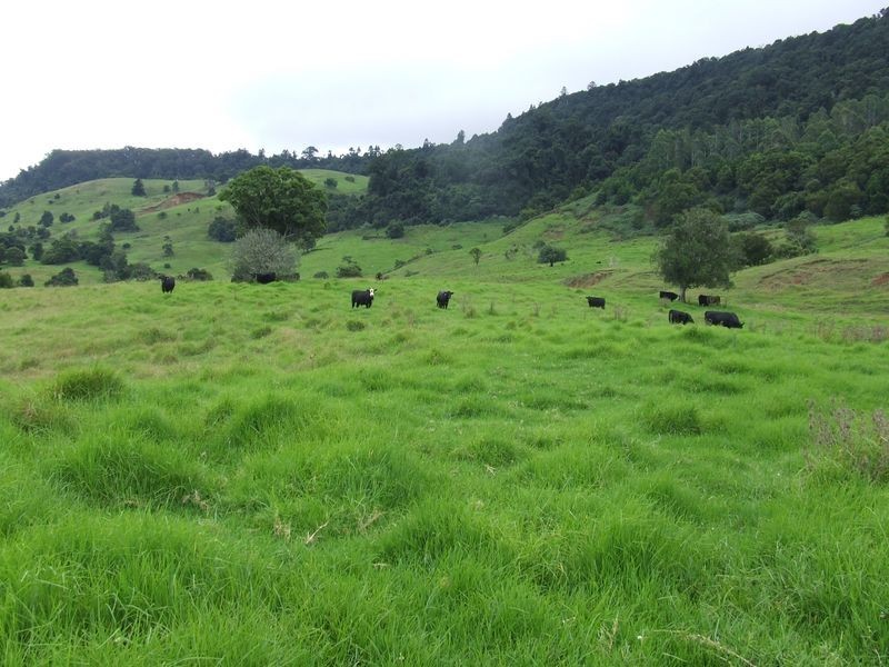 Proposed l Spring Creek Road The Head via, Killarney QLD 4373