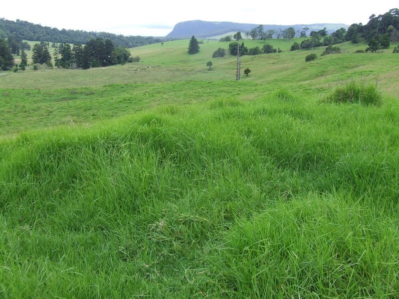 Proposed l Spring Creek Road The Head via, Killarney QLD 4373