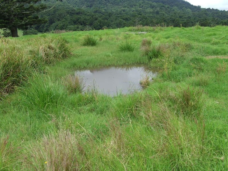 Proposed l Spring Creek Road The Head via, Killarney QLD 4373