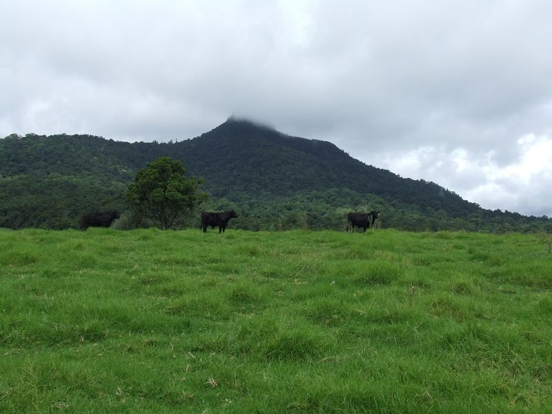 Proposed l Spring Creek Road The Head via, Killarney QLD 4373