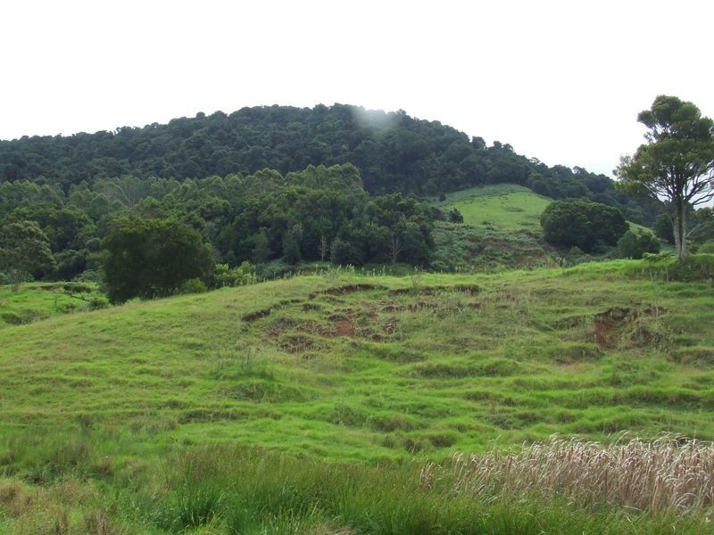 Proposed l Spring Creek Road The Head via, Killarney QLD 4373