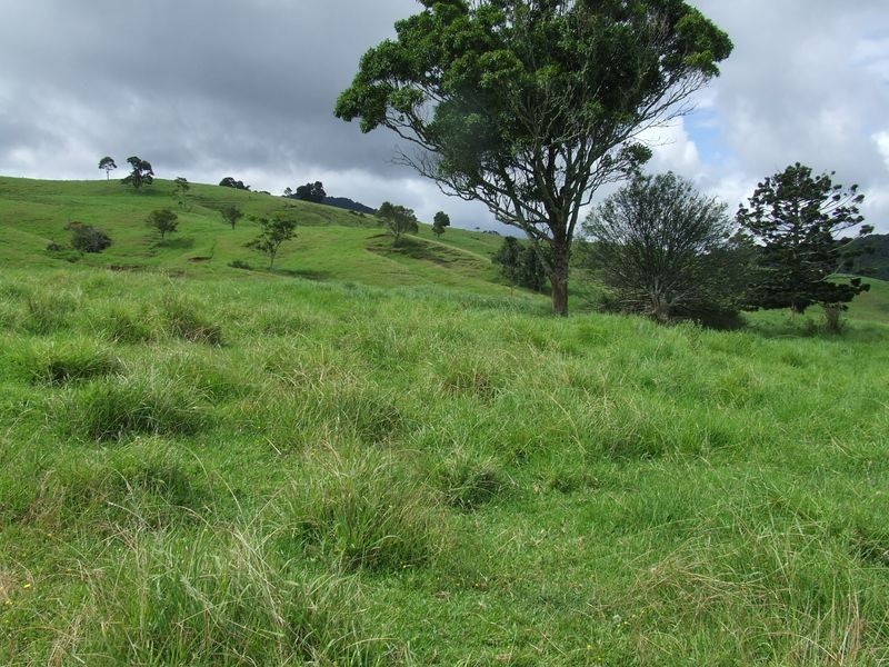 Proposed l Spring Creek Road The Head via, Killarney QLD 4373