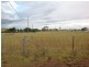 Lot 87 Barron Street, Allora QLD 4362