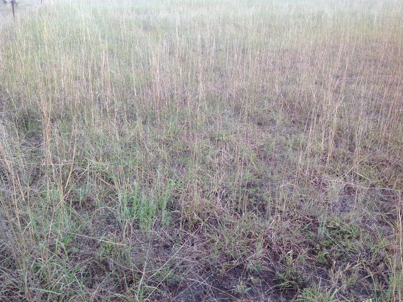 Lot 87 Barron Street, Allora QLD 4362