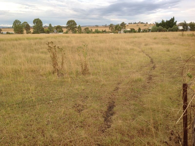 Lot 87 Barron Street, Allora QLD 4362