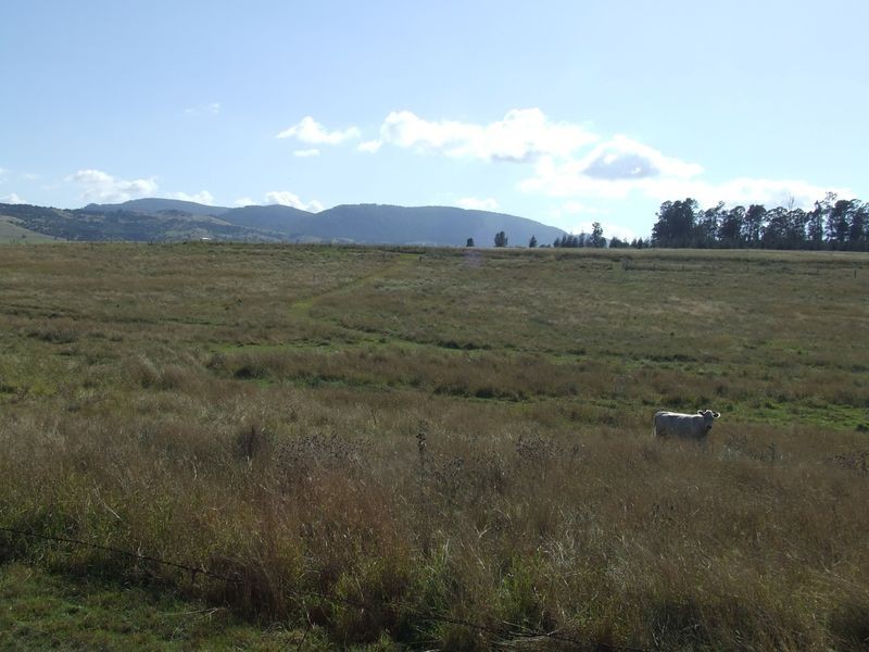 Lot 1 Acacia Street, Killarney QLD 4373