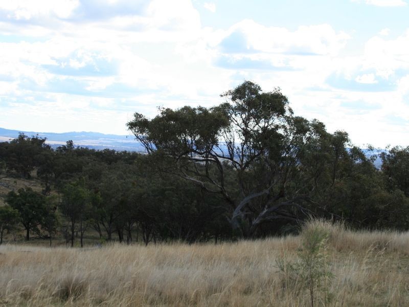 Lot 13 Springdale Road, Stanthorpe QLD 4380