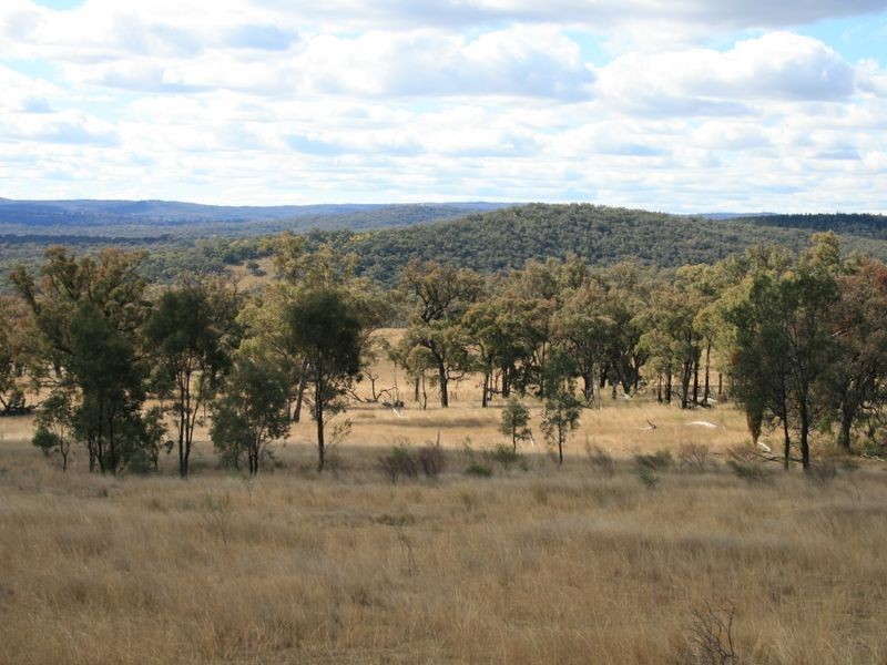 Lot 13 Springdale Road, Stanthorpe QLD 4380