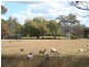 732 Springdale Road, Stanthorpe QLD 4380