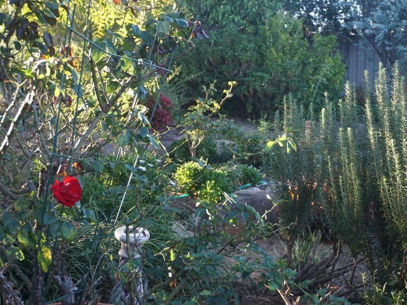 12 Rebecca Court, Warwick QLD 4370