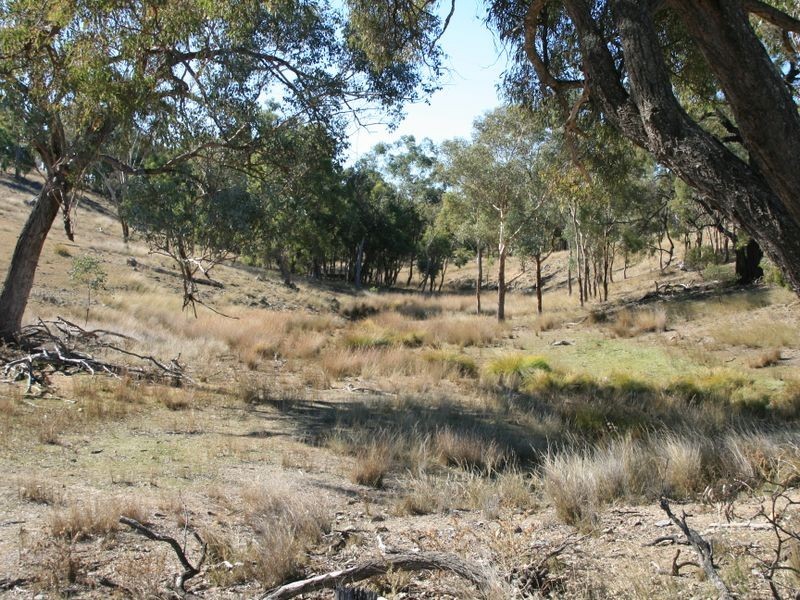 Lot 18 Sprindale Road, Stanthorpe QLD 4380