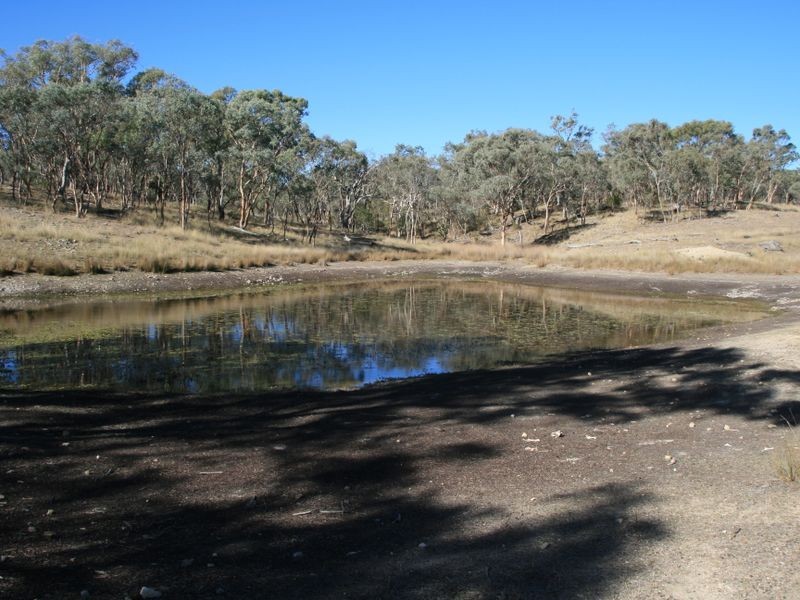 Lot 18 Sprindale Road, Stanthorpe QLD 4380