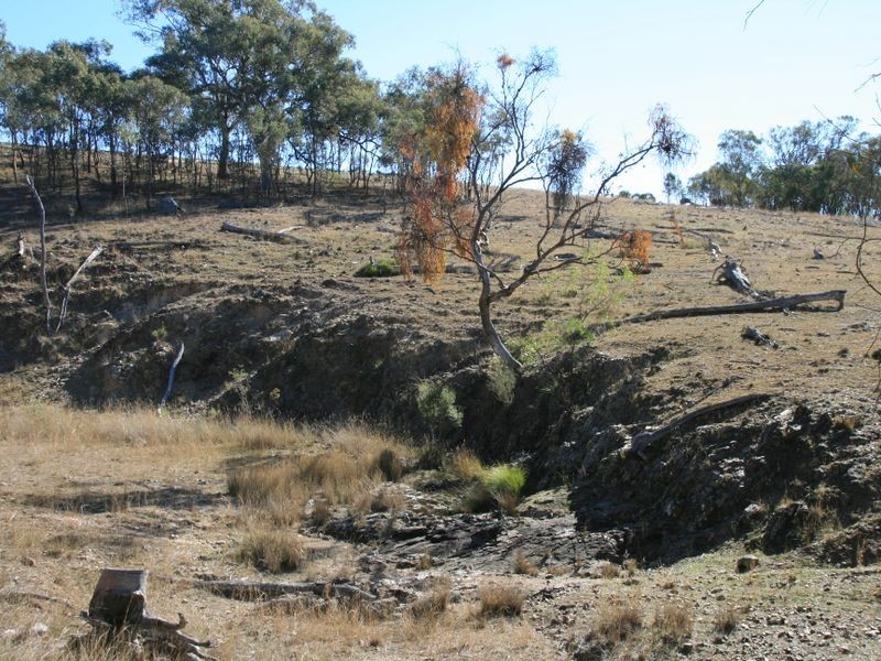 Lot 18 Sprindale Road, Stanthorpe QLD 4380