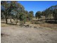 Lot 18 Sprindale Road, Stanthorpe QLD 4380