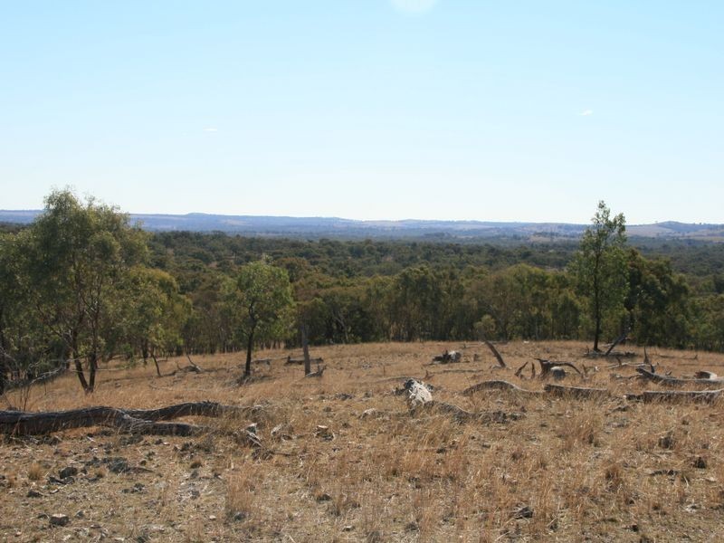 Lot 18 Sprindale Road, Stanthorpe QLD 4380