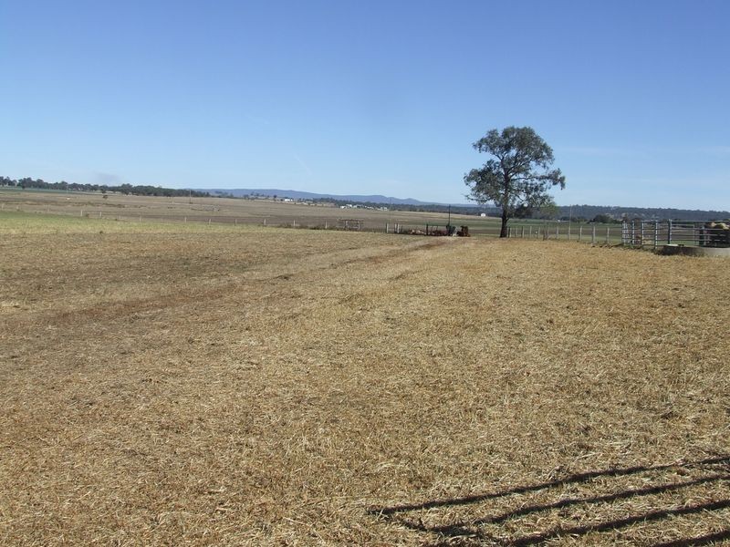 58 Backhouse Road, Killarney QLD 4373