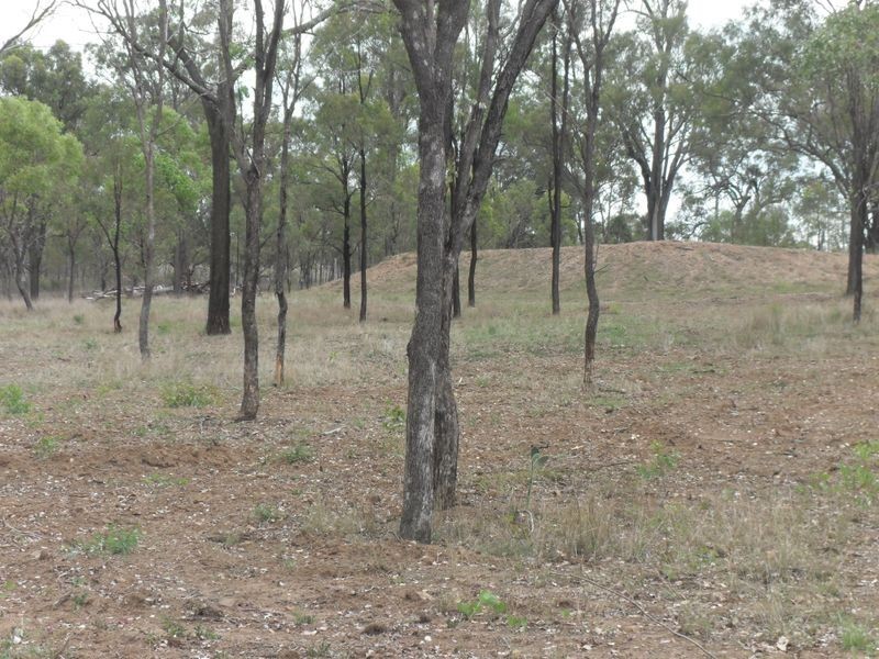 538 Pratten – Hendon Road, Clintonvale QLD 4370