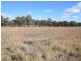 208 Upper Wheatvale Road, Deuchar QLD 4362