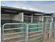 588 Spring Creek Road, Allora QLD 4362