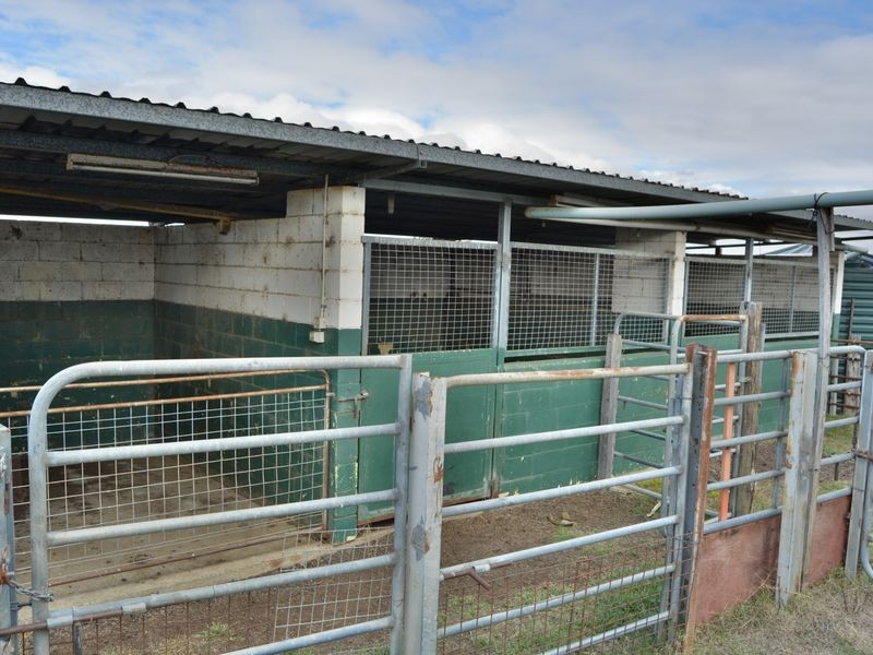 588 Spring Creek Road, Allora QLD 4362