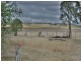 588 Spring Creek Road, Allora QLD 4362