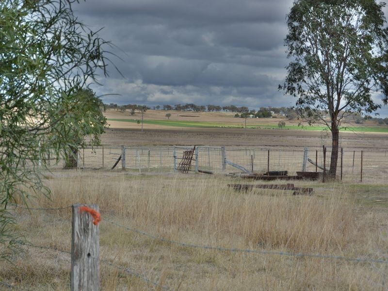588 Spring Creek Road, Allora QLD 4362