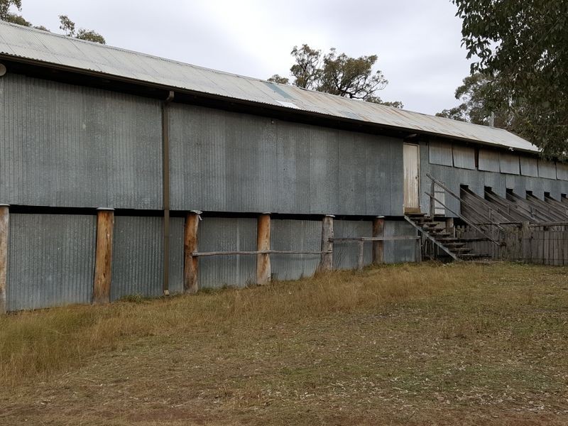 Lot 29 Bendee Springdale Road, Stanthorpe QLD 4380