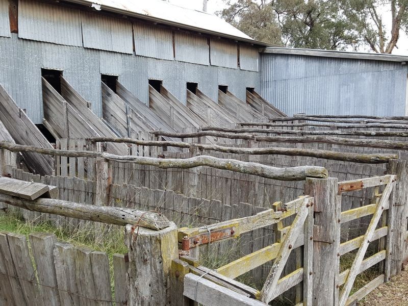 Lot 29 Bendee Springdale Road, Stanthorpe QLD 4380