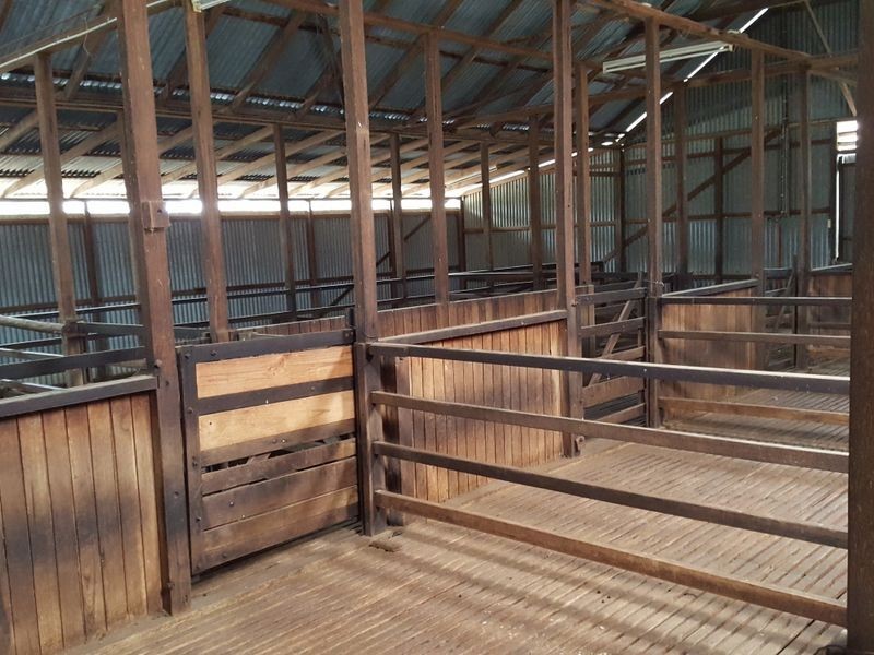 Lot 29 Bendee Springdale Road, Stanthorpe QLD 4380