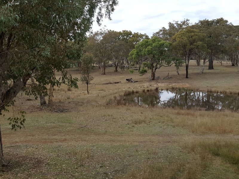 Lot 29 Bendee Springdale Road, Stanthorpe QLD 4380