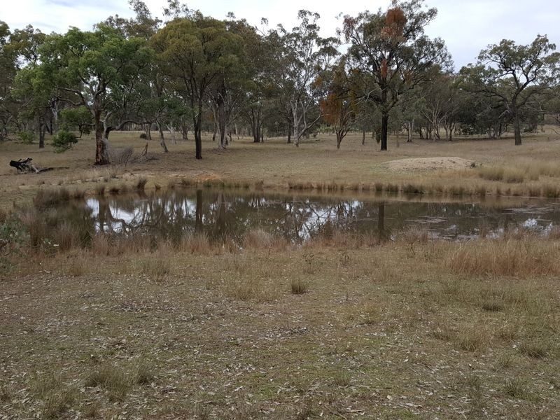 Lot 29 Bendee Springdale Road, Stanthorpe QLD 4380