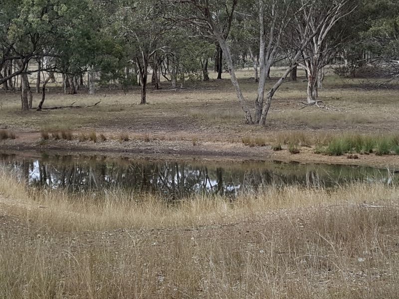 Lot 29 Bendee Springdale Road, Stanthorpe QLD 4380