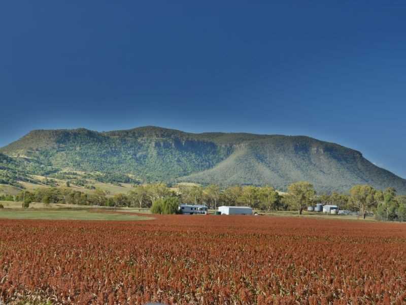 40 Ipomea Street, Emu Vale QLD 4371