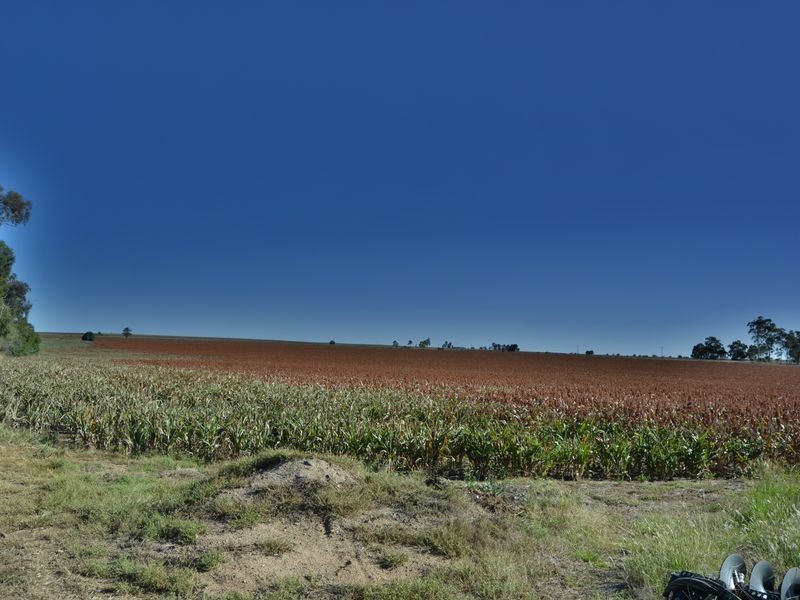 40 Ipomea Street, Emu Vale QLD 4371