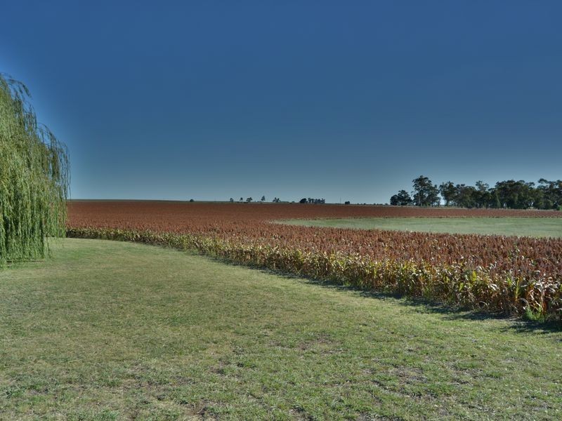 40 Ipomea Street, Emu Vale QLD 4371