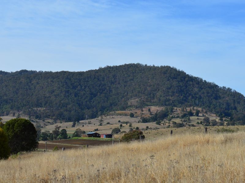 Lot 1 Border Road, Killarney QLD 4373