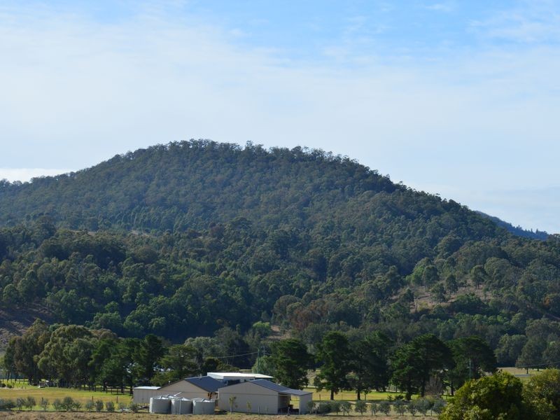 Lot 1 Border Road, Killarney QLD 4373