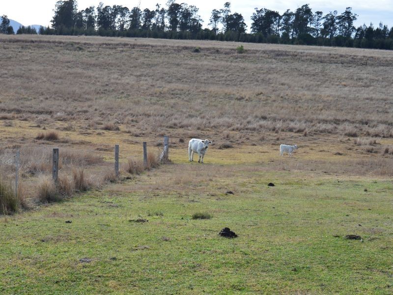 26 Yangan-Killarney Road, Tannymorel QLD 4372