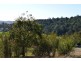 Proposed l Spring Creek Road, Killarney QLD 4373